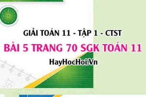 Giải bài 5 trang 70 Toán 11 tập 1 SGK Chân trời sáng tạo